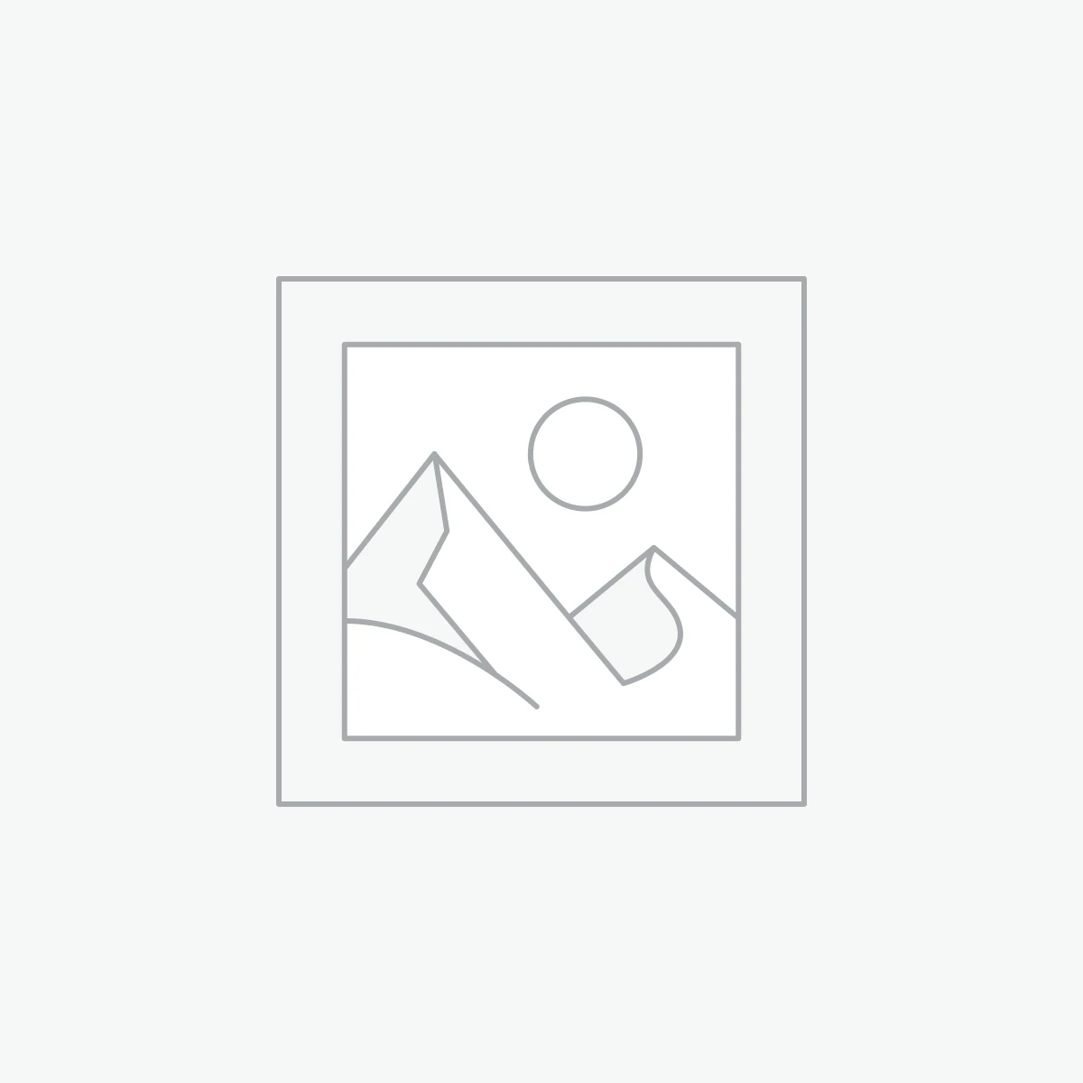 Digital Cinema Cameras